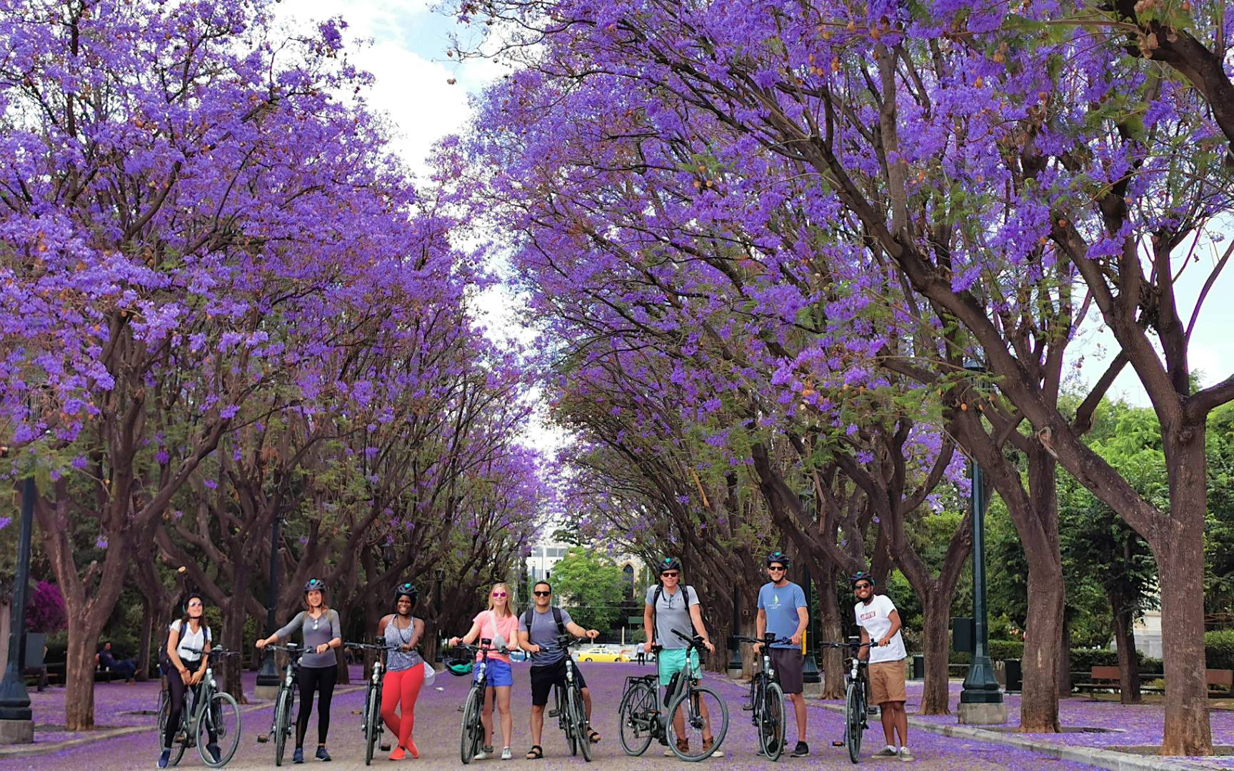 Bike your way around